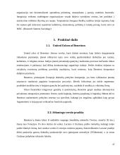 Tarptautinės konkurencijos strategija: United Colors of Benetton 15 puslapis