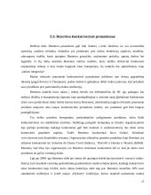 Tarptautinės konkurencijos strategija: United Colors of Benetton 17 puslapis