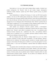 Tarptautinės konkurencijos strategija: United Colors of Benetton 19 puslapis