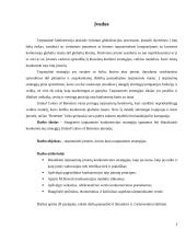 Tarptautinės konkurencijos strategija: United Colors of Benetton 3 puslapis