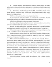 Tarptautinės konkurencijos strategija: United Colors of Benetton 6 puslapis