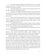 Tarptautinės konkurencijos strategija: United Colors of Benetton 8 puslapis