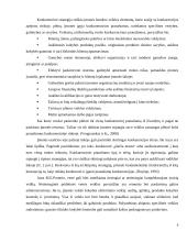 Tarptautinės konkurencijos strategija: United Colors of Benetton 9 puslapis