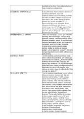 Apie Maironį ir Biliūną 2 puslapis