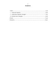 Tarptautinės logistikos strategijos 2 puslapis