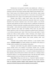 Tarptautinės logistikos strategijos 3 puslapis