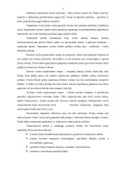 Tarptautinės logistikos strategijos 5 puslapis