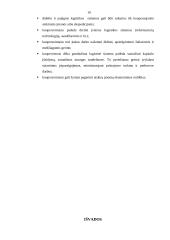 Tarptautinės logistikos strategijos 10 puslapis