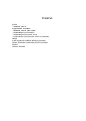 Tarptautinės prekybos politika 2 puslapis