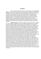 Tarptautinės prekybos politika 3 puslapis