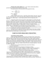 Tarptautinės prekybos politika 5 puslapis