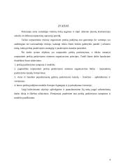 Tarptautinės prekių paskirstymo sistemos organizavimas 2 puslapis