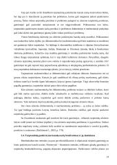 Tarptautinės prekių paskirstymo sistemos organizavimas 12 puslapis