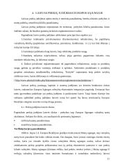 Tarptautinės prekių paskirstymo sistemos organizavimas 19 puslapis