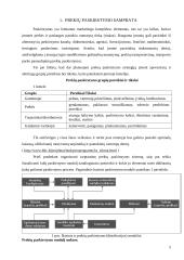 Tarptautinės prekių paskirstymo sistemos organizavimas 3 puslapis