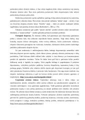 Tarptautinės prekių paskirstymo sistemos organizavimas 10 puslapis