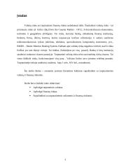 Tarptautinės valiutų ir finansų rinkos 3 puslapis