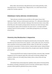 Tarptautinės valiutų ir finansų rinkos 7 puslapis