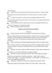 Kunigo pašaukimo problema psichologiniame intelektualiniame romane „Altorių šešėly“ 2 puslapis