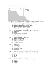 Pasaulinis vandenynas (testas) 3 puslapis