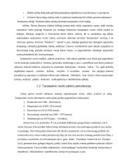 Tarptautinio verslo istorija, augimo tempai, kontrolės, centralizacijos tendencijos, vietinės valdžios reakcija 4 puslapis