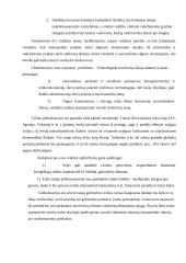 Tarptautinio verslo istorija, augimo tempai, kontrolės, centralizacijos tendencijos, vietinės valdžios reakcija 7 puslapis