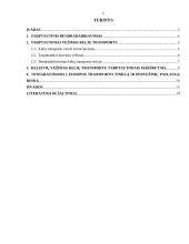 Tarptautinis bendradarbiavimas transporto srityje 2 puslapis