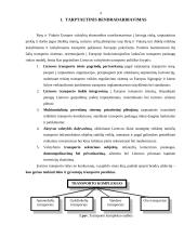 Tarptautinis bendradarbiavimas transporto srityje 4 puslapis