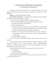 Tarptautinis bendradarbiavimas transporto srityje 5 puslapis