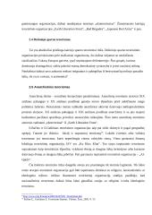 Tarptautinis terorizmas 6 puslapis