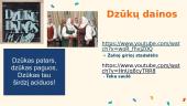 Dzūkijos pristatymas 13 puslapis