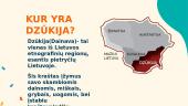 Dzūkijos pristatymas 4 puslapis