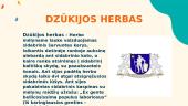 Dzūkijos pristatymas 5 puslapis