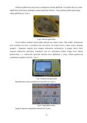 Studento inžinerinių tyrinėjimų praktikos užduotys ir jų atlikimas 12 puslapis