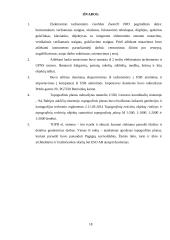 Studento inžinerinių tyrinėjimų praktikos užduotys ir jų atlikimas 17 puslapis