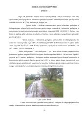 Studento inžinerinių tyrinėjimų praktikos užduotys ir jų atlikimas 19 puslapis