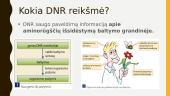 Paveldimumas ir DNR baltymai 14 puslapis