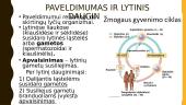 Paveldimumas ir DNR baltymai 5 puslapis