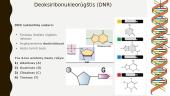 Paveldimumas ir DNR baltymai 10 puslapis