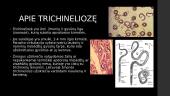 Apie trichineliozę 2 puslapis