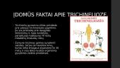 Apie trichineliozę 8 puslapis