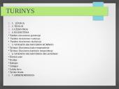 Vandens ekosistemos kūrimas 2 puslapis