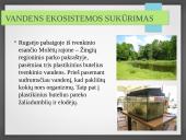 Vandens ekosistemos kūrimas 11 puslapis