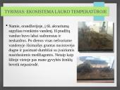 Vandens ekosistemos kūrimas 12 puslapis