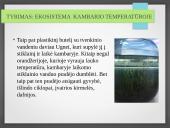 Vandens ekosistemos kūrimas 13 puslapis