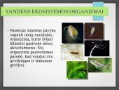 Vandens ekosistemos kūrimas 14 puslapis