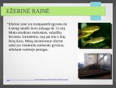 Vandens ekosistemos kūrimas 15 puslapis