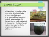 Vandens ekosistemos kūrimas 20 puslapis