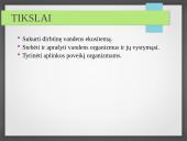 Vandens ekosistemos kūrimas 4 puslapis