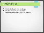 Vandens ekosistemos kūrimas 5 puslapis